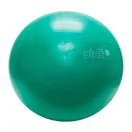 Fabrication Enterprises PhysioGymnic Molded Vinyl Inflatable Exercise Ball, 65 cm (26"), Green 30-1702